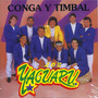 Conga Y Timbal