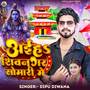 Aaiha Shivnagar Somari Me