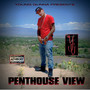 Penthouse View (Explicit)