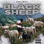 Black Sheep (Explicit)