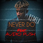 Never Do (Remix)