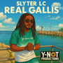 Real gallis