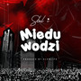 Mieduwodzi