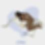 Carrusel (Explicit)