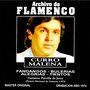 Archivo De Flamenco Vol.16 (Curro Malena)