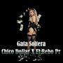 Gata Soltera (feat. El Bebo Pr) [Explicit]