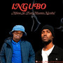 Ingubo