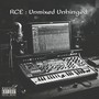 RCE : Unmixed Unhinged (Explicit)