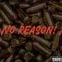 No Reason (feat. 762Tam) [Explicit]