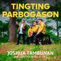 Tingting Parbogason