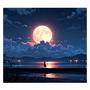 The Moon