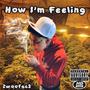 How I'm Feeling (Explicit)