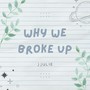 WHY WE BROKE UP