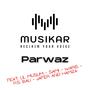 Parwaz (feat. Mirzamusiq, Lil Muslim, Samii, Waris, R.S. Bali, Jafer & Hamza) [Explicit]