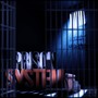 Prison System