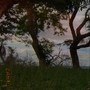 Campo