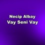 Vay Seni Vay