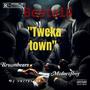 Twerka Town (feat Mcdeez Fboy  Dj Cullycush & TheBrownBears)