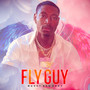 Fly Guy