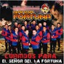 Corridos Para El Señor Del La Fortuna