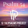 Psalm 54 (Your Name Is Good) (feat. Benjamin Ady)