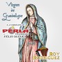 Virgen de Guadalupe