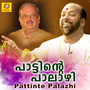 Pattinte Palazhi