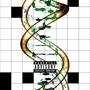 DNA REPAIR (Explicit)