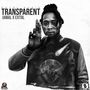 Transparent (Explicit)