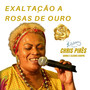 Exaltação Ao Rosas de Ouro