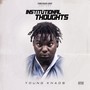 Institutional Thoughts (Explicit)