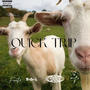 Quick Trip (feat. Big L) [Explicit]