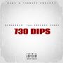 730 DIPS (Explicit)