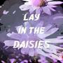 Lay In The Daisies