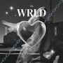 WRLD (feat. JSN) [Explicit]