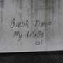 Break Down My Walls