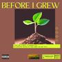 Before I Grew (Explicit)