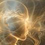 Prefrontal Cortex Healing