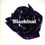 Blackbud