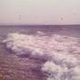 linger (From the love in a painting album)