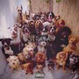 Strata (Explicit)