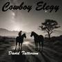 Cowboy Elegy