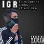 IGR (Explicit)