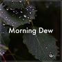 Morning Dew