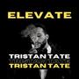 Tristan Tate (Explicit)