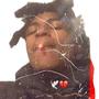 Rell Talkin (Explicit)
