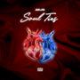 Soul Ties (Explicit)