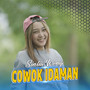 Cowok Idaman