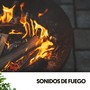 Sonidos de Fuego: Flamenco Fusion