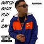 Watch What You a Say (Explicit)